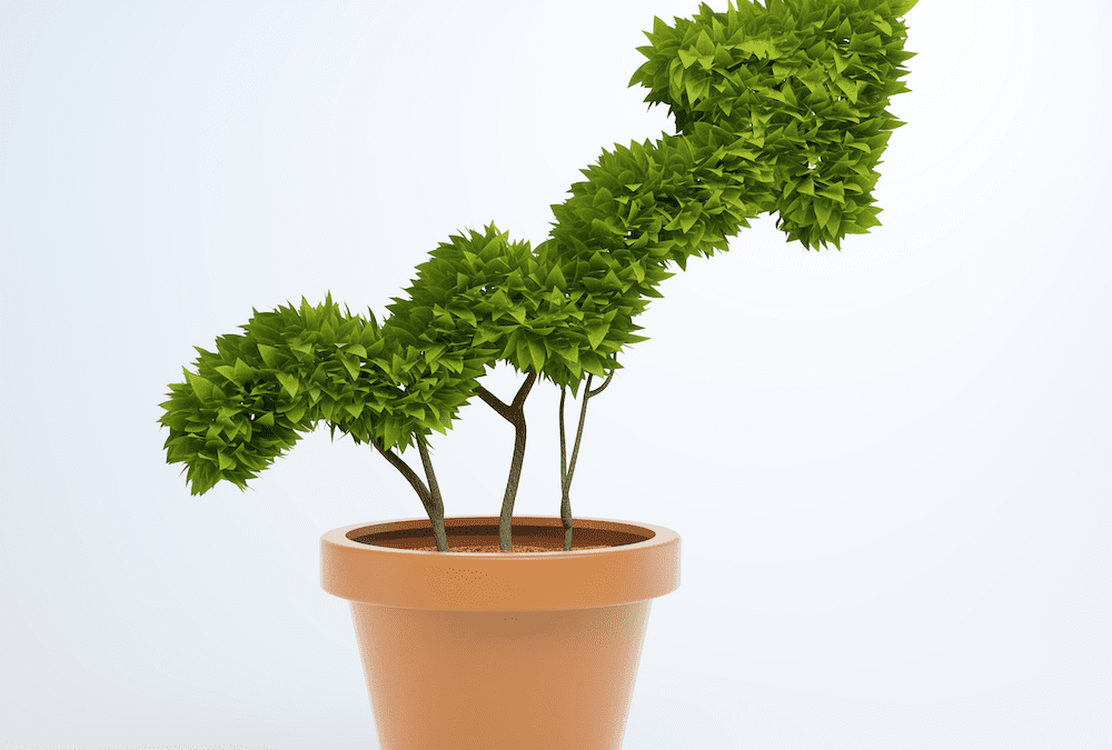 Growing your business value