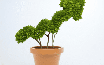 Growing your business value
